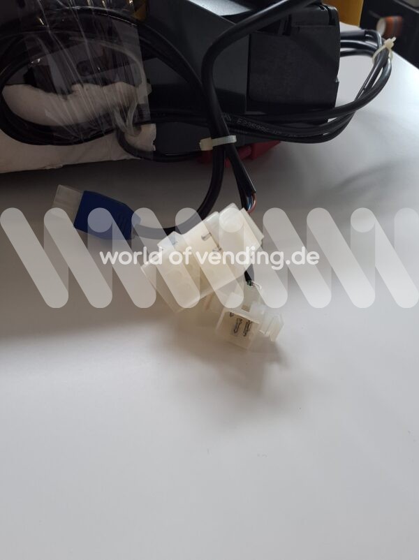 7900 - Image 3