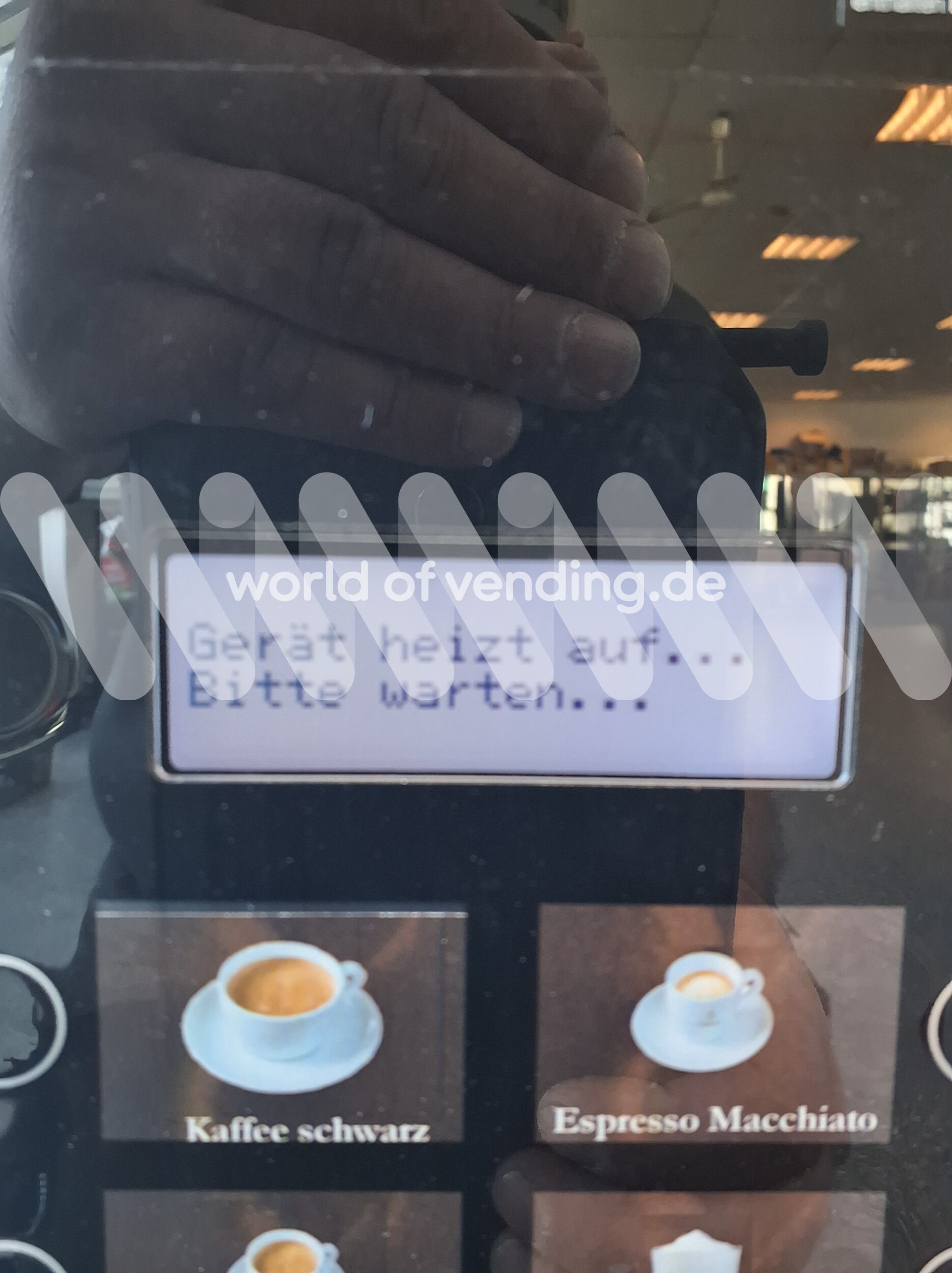 Siamonie Doppel ES – Bild 2