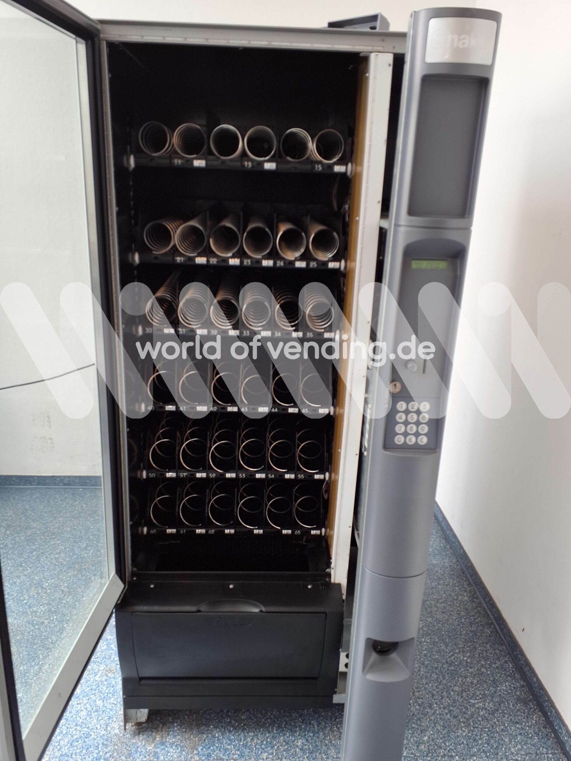 Snakky – Bild 2