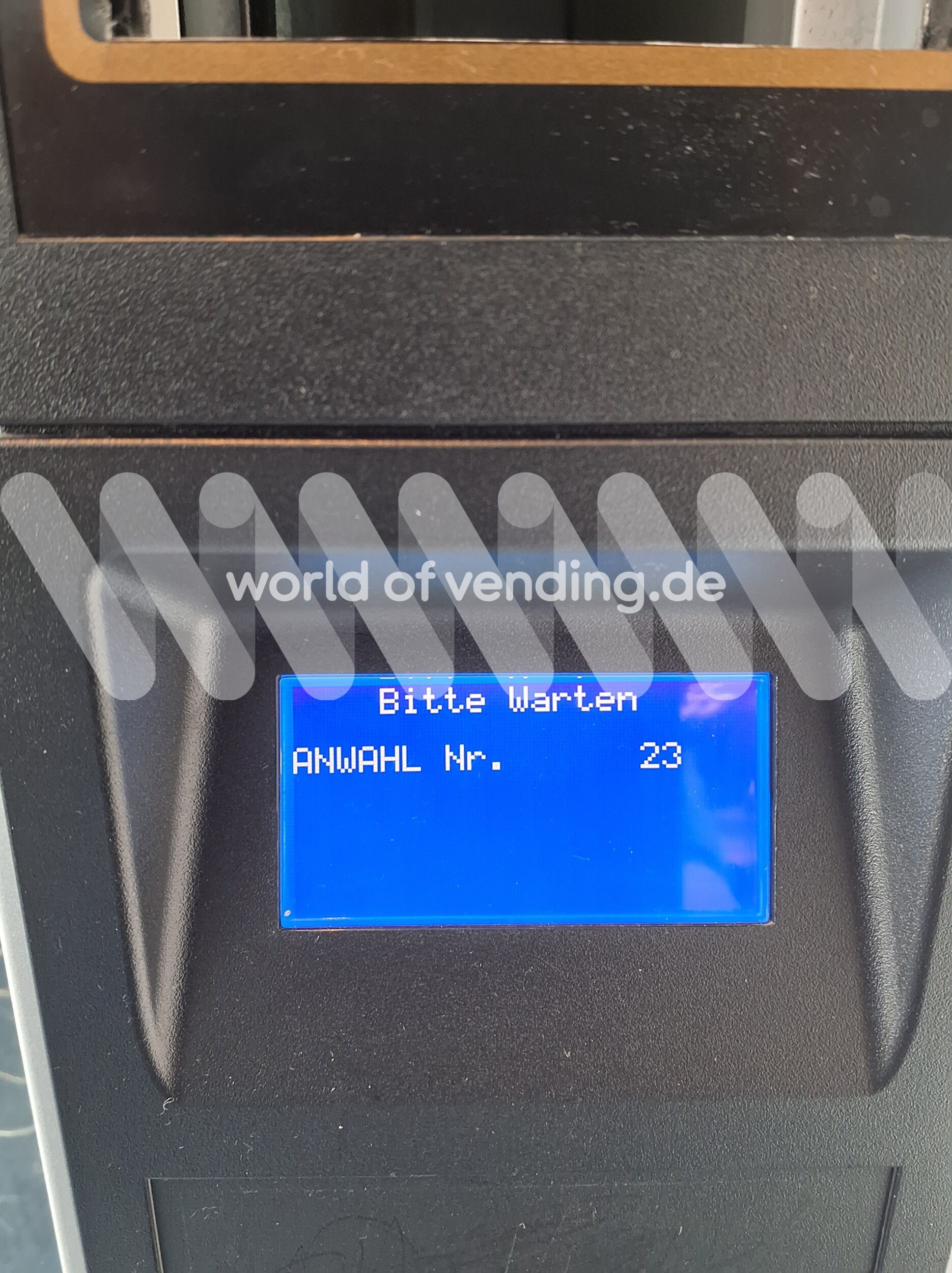Melodia – Bild 2