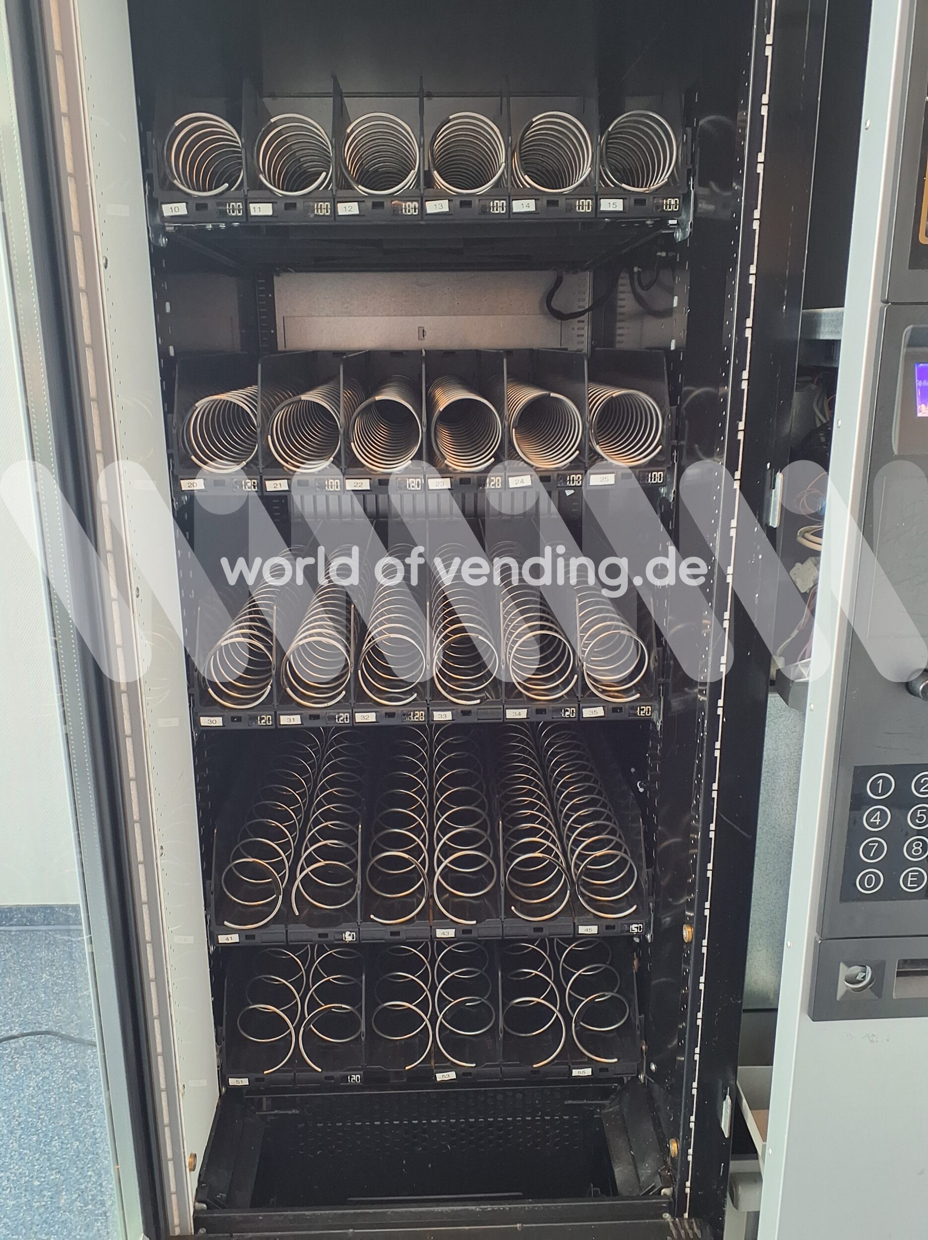 Melodia – Bild 4